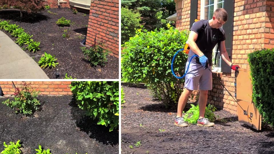 Mulch Dye for Beautiful Landscaping Beds Anytime PETRATOOLS