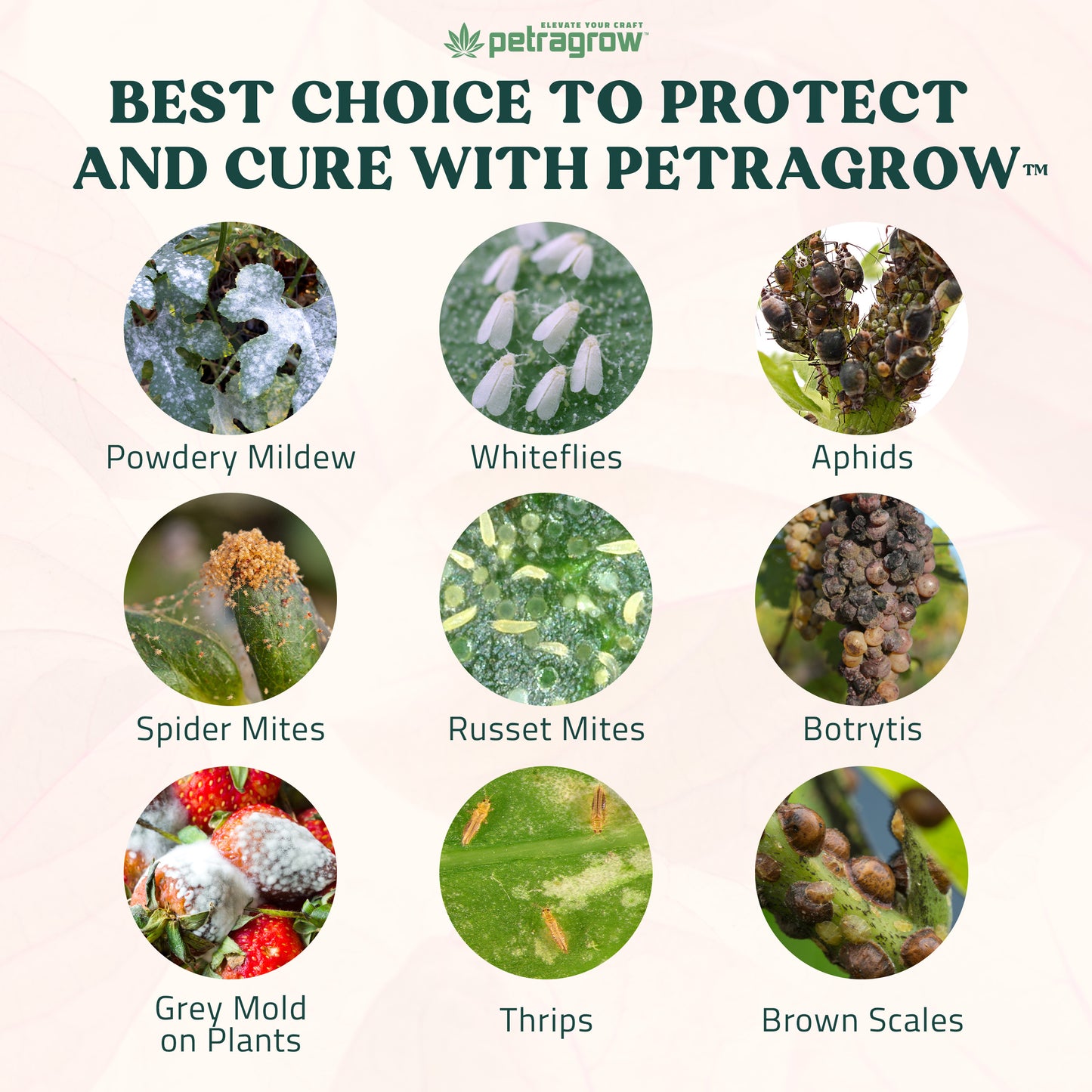 PetraGrow Crop Defender Leaf Guard Concentrate