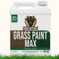 Petramax Grass Paint Max