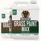 Petramax Grass Paint Max