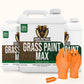 Petramax Grass Paint Max